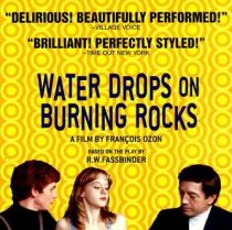 Water Drops on Burning Rocks