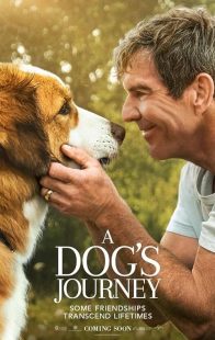 A Dog's Journey