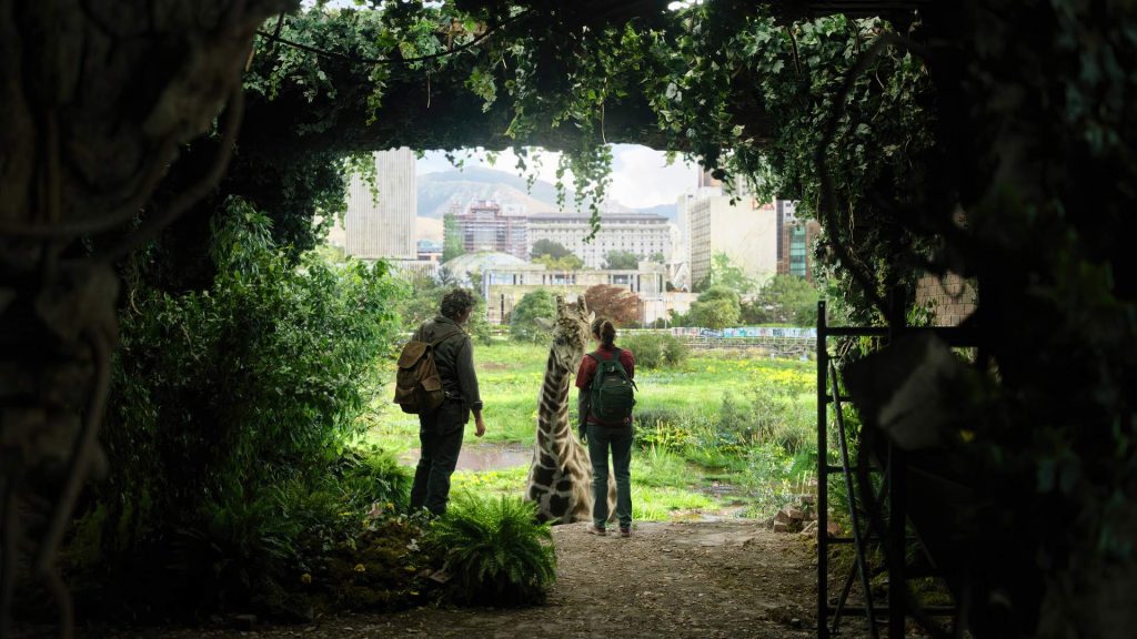 سریال The Last of Us